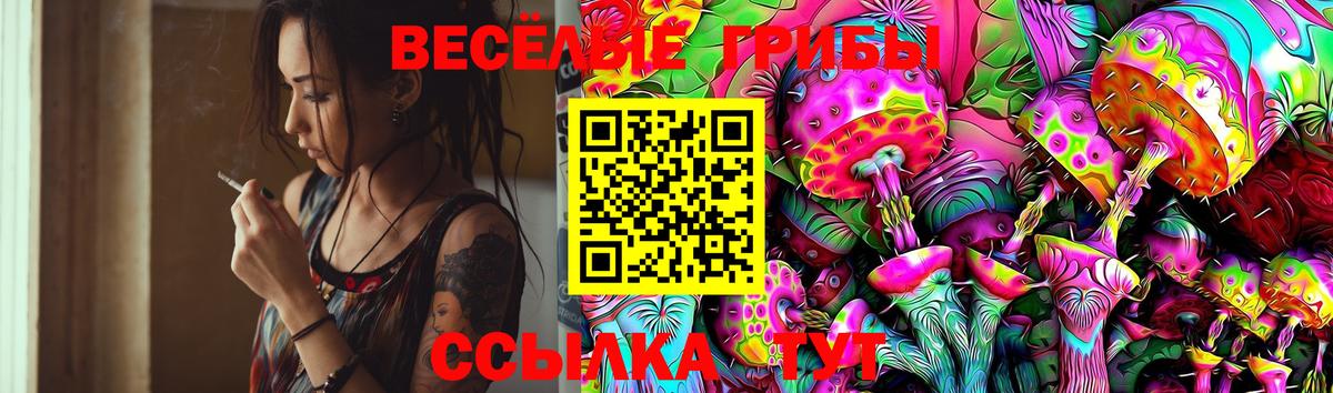 Псилоцибиновые грибы Magic Shrooms  Псилоцибиновые грибы мицелий  Кировск  хочу наркоту  Вход с VPN 