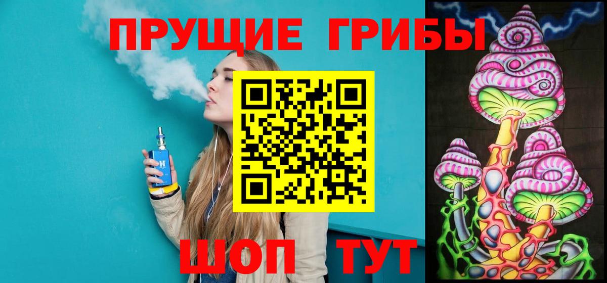 Галлюциногенные грибы Psilocybine cubensis Кировск