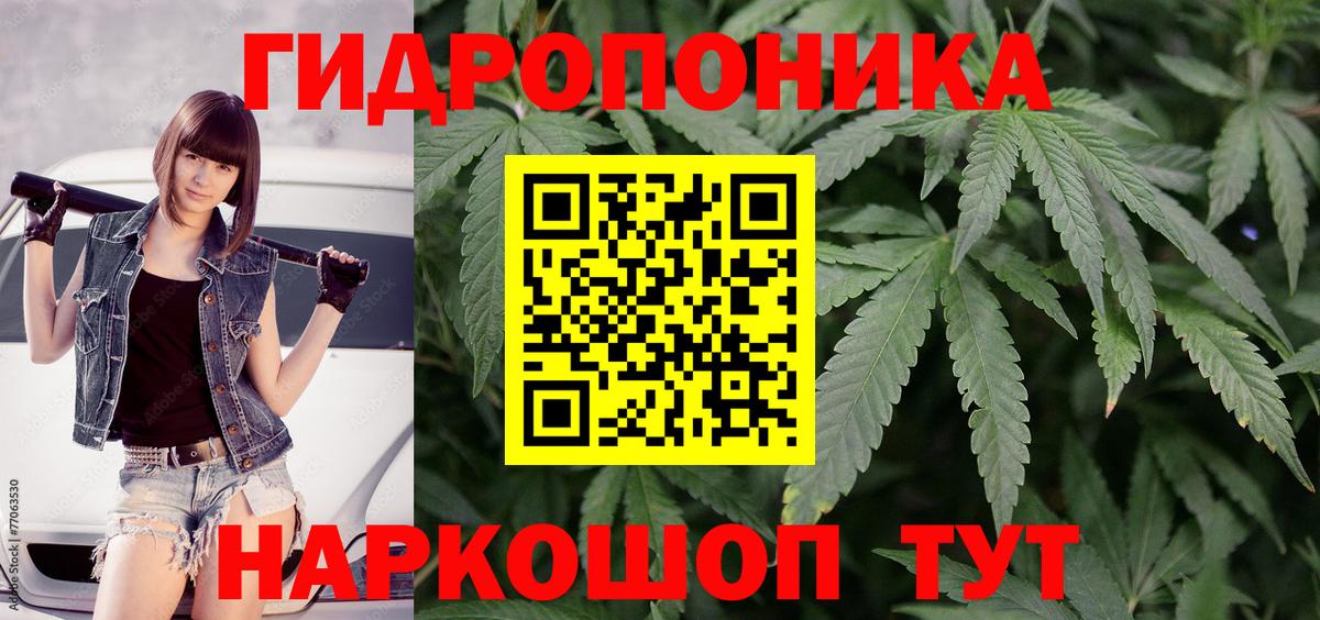 Канабис план  Вход с VPN  МАРИХУАНА LSD WEED  МАРИХУАНА SATIVA & INDICA  Кировск  Шишки марихуана сатива 